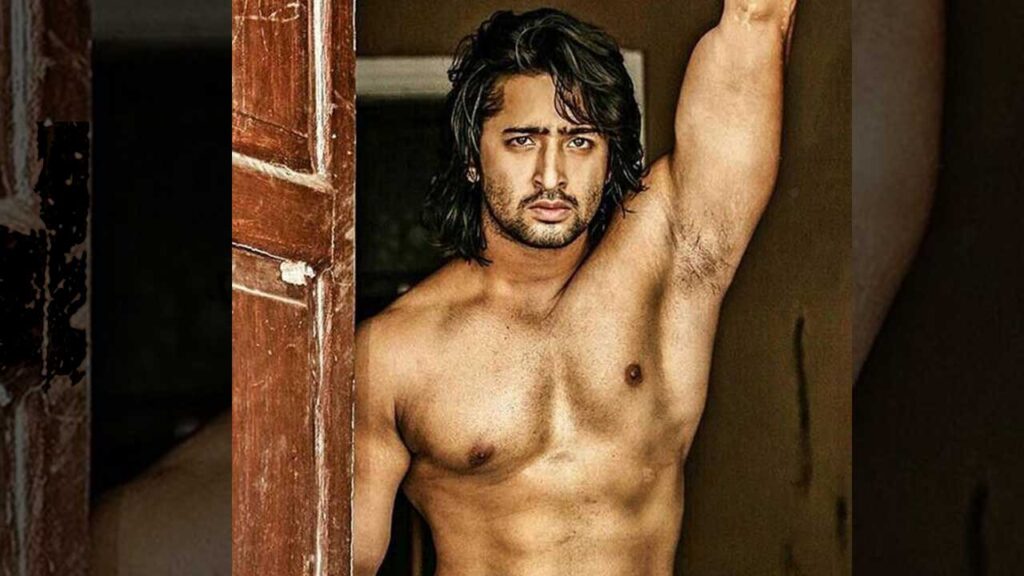 Shaheer Sheikh is the most charming star. Here’s why… - 2