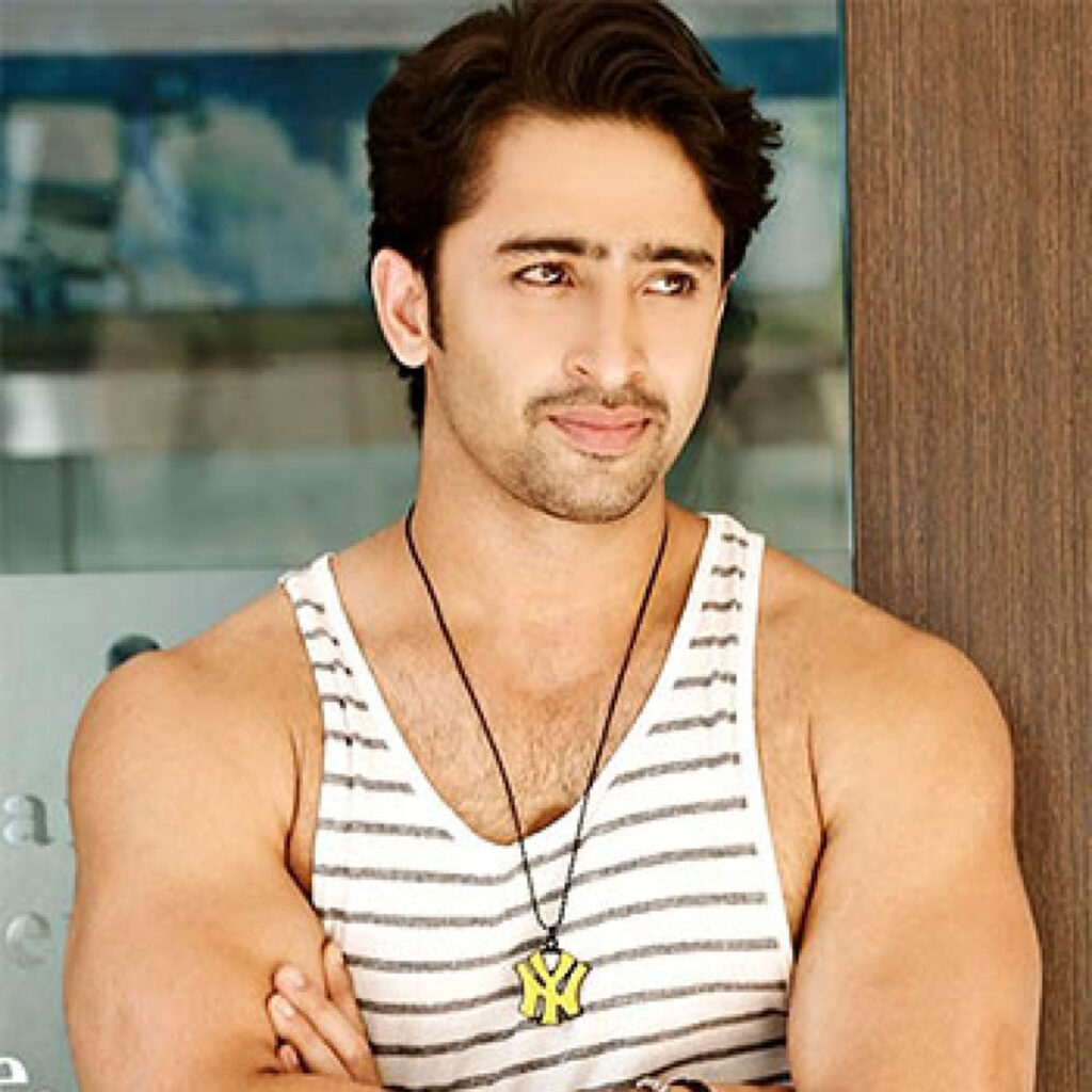 Shaheer Sheikh-The Indian Lawyer Turned Successful Actor - 4