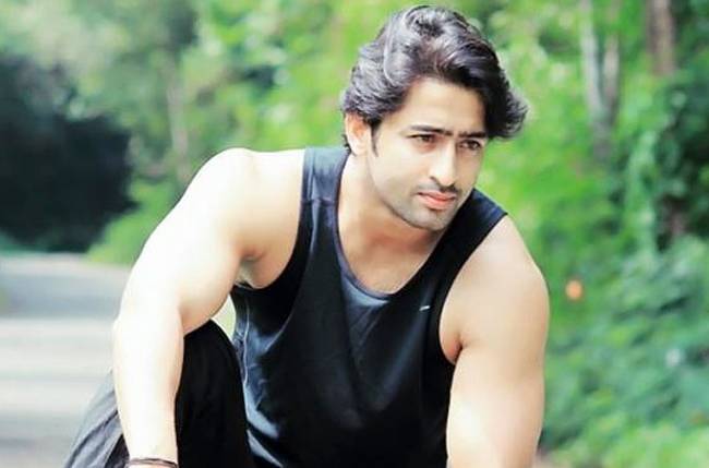 Shaheer Sheikh is the most charming star. Here’s why… - 0