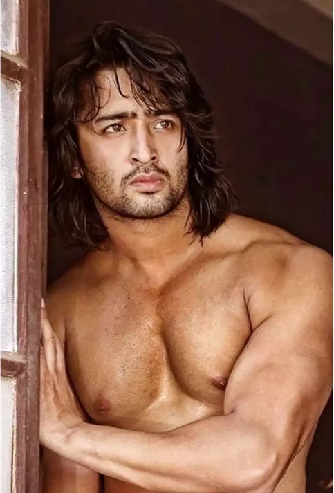 Shaheer Sheikh and his impeccable workout routine - 0