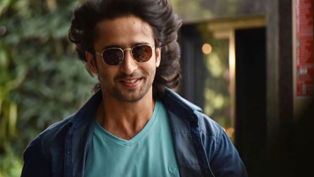 Shaheer Sheikh-The Indian Lawyer Turned Successful Actor - 5