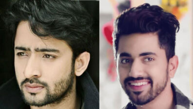 Shaheer Sheikh vs Zain Imam: The ultimate telly heartthrob