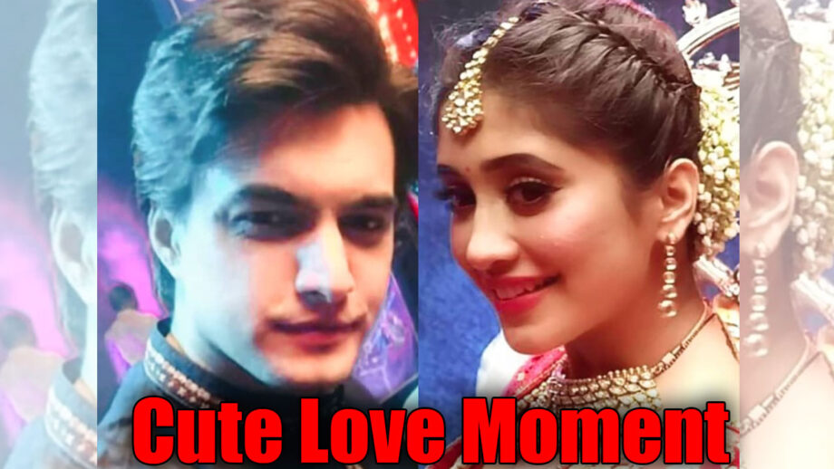 Yeh Rishta Kya Kehlata Hai: Naira and Kartik’s cute love moment at Republic Day celebrations