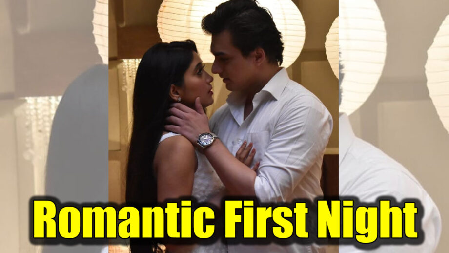 Yeh Rishta Kya Kehlata Hai: Newly married Kartik and Naira’s sizzling romance on first night