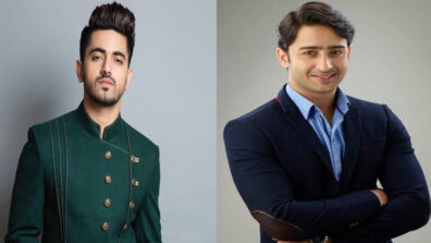 Zain Imam VS Shaheer Sheikh: The ultimate hunk of telly town