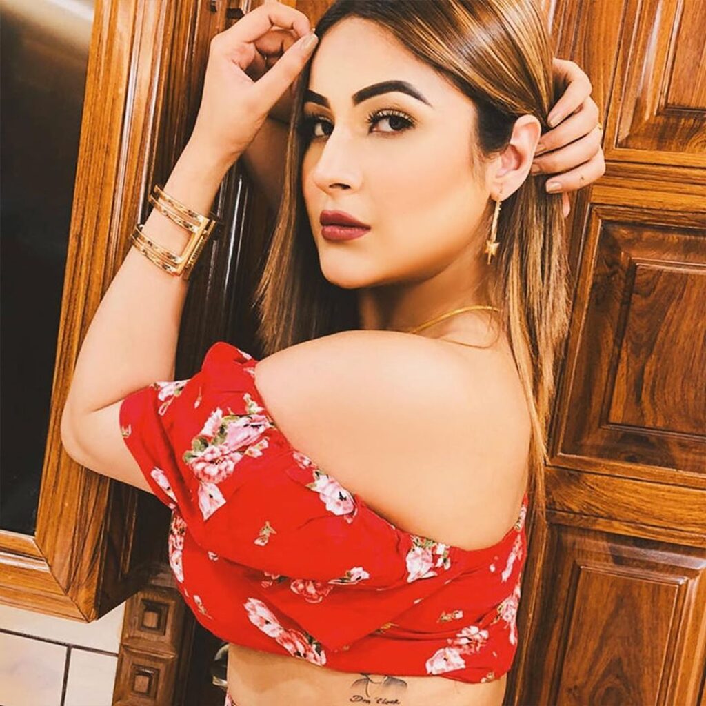 10 Hottest Photos of Bigg Boss 13 Contestant Shehnaaz Gill - 0