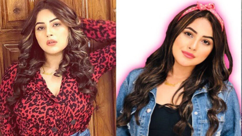 10 Hottest Photos of Bigg Boss 13 Contestant Shehnaaz Gill 11