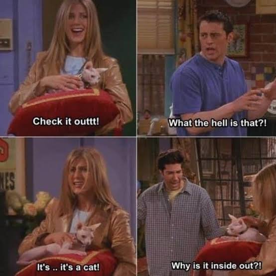 13 Hilarious Memes On ‘Friends’ - 3