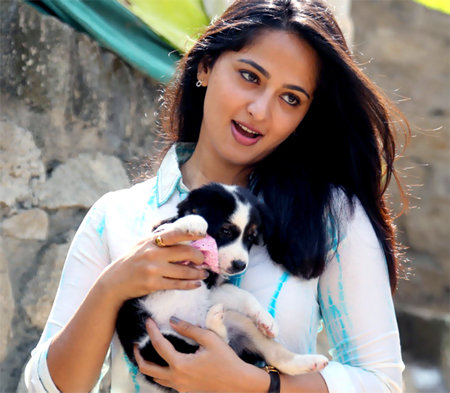 Anushka Shetty is an avid dog lover, here’s proof - 1