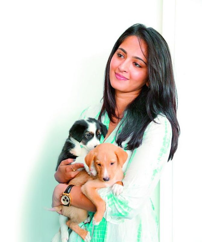 Anushka Shetty is an avid dog lover, here’s proof - 3