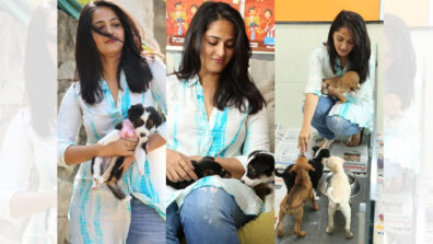 Anushka Shetty is an avid dog lover, here’s proof