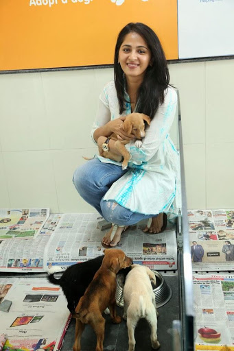 Anushka Shetty is an avid dog lover, here’s proof - 0