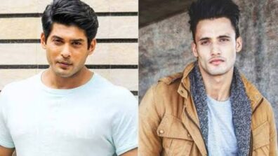 Asim Riaz or Sidharth Shukla: Who deserves to win Bigg Boss 13?