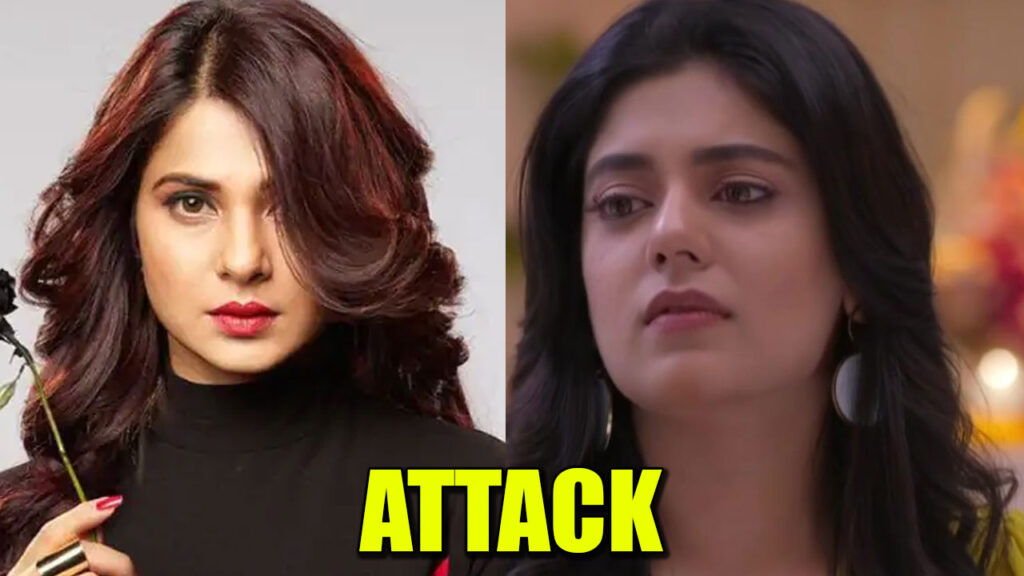 Beyhadh 2: Maya to attack Rudra’s business partner Ananya