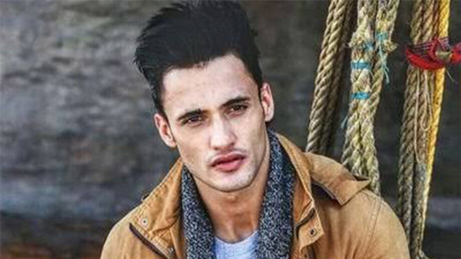 Bigg Boss 13 fame Asim Riaz: Everything you need to know about this Kashmir model 5
