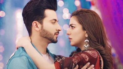 Cutest Romantic dialogues of Karan and Preeta from Kundali Bhagya