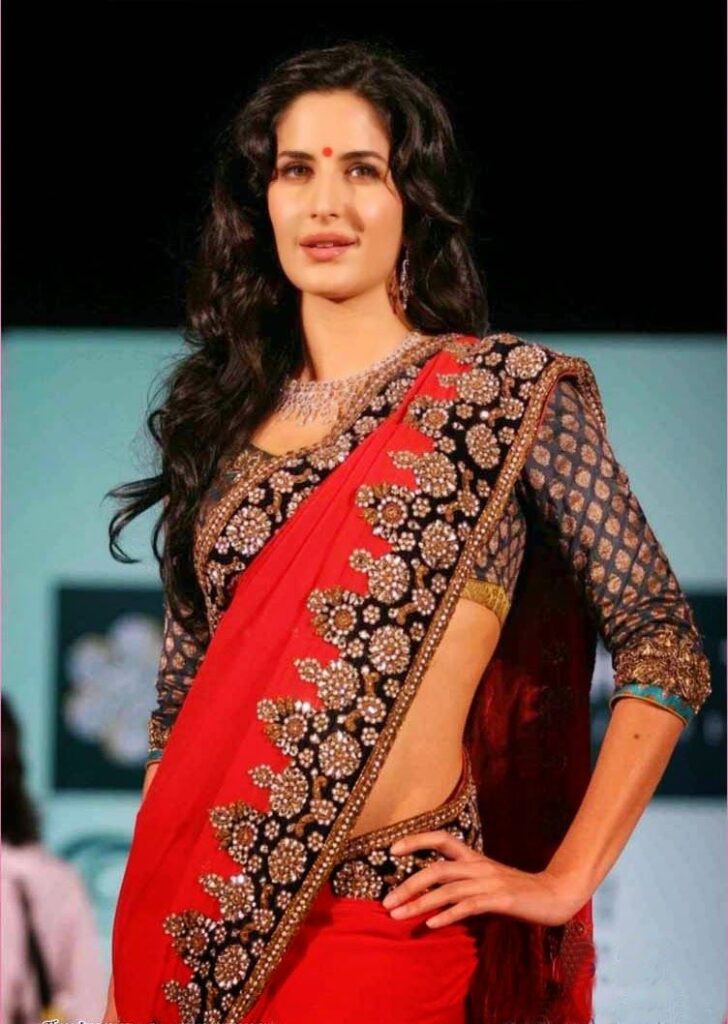 Katrina Kaif’s UNSEEN saree looks to inspire you - 3