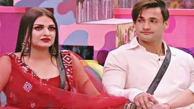 Love Story of Bigg Boss Contestants Asim Riaz and Himanshi Khurana