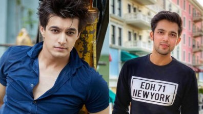 Mohsin Khan vs Parth Samthaan: High on hotness meter