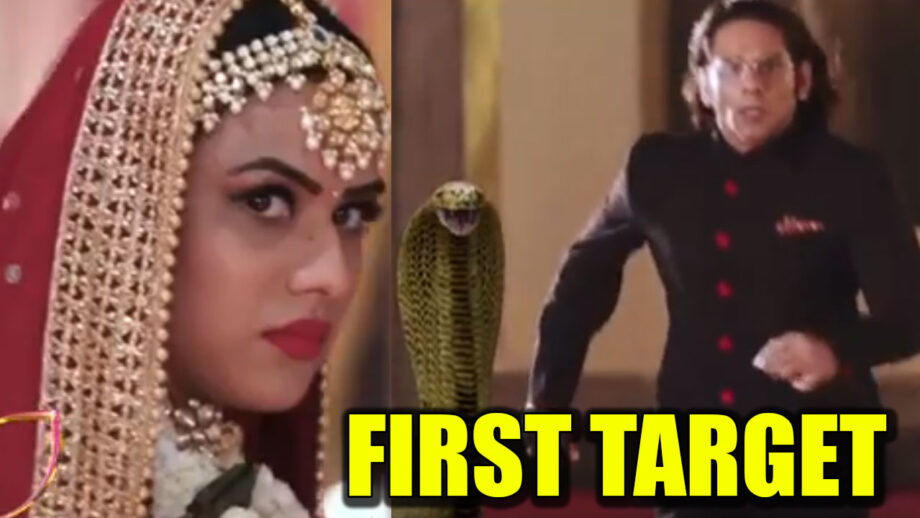 Naagin – Bhagya Ka Zehreela Khel: Madhav to be Brinda’s first target