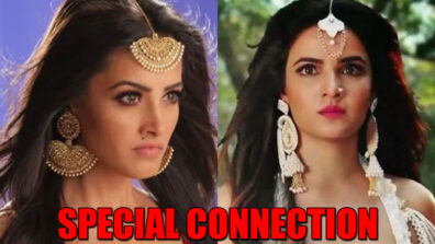 Naagin – Bhagya Ka Zehreela Khel: Nayanthara and Vish’s SPECIAL connection