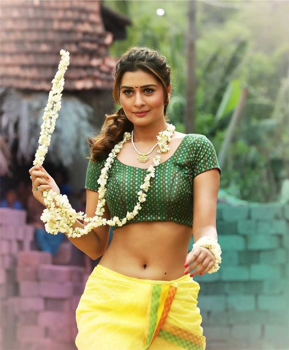 Payal Rajput is a HOT BABE in saree - 0