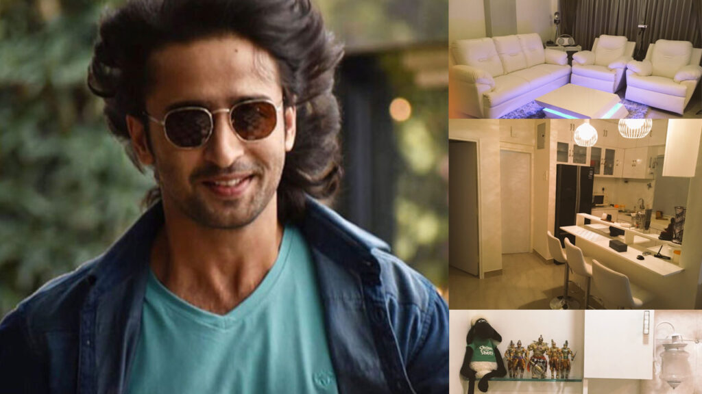 The rise of Shaheer Sheikh in television - 4