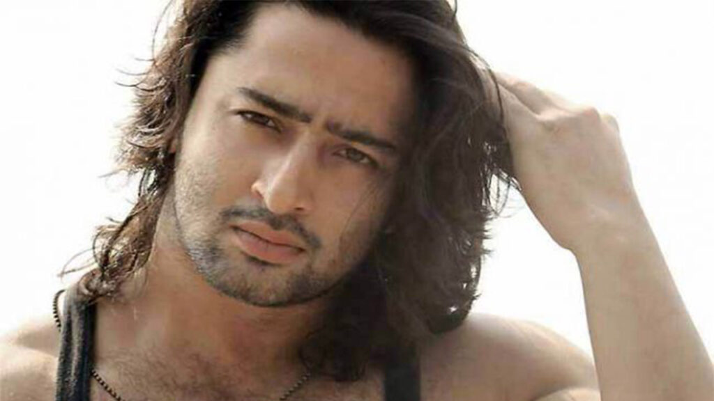 Shaheer Sheikh is Every Woman's Prince of Dream!