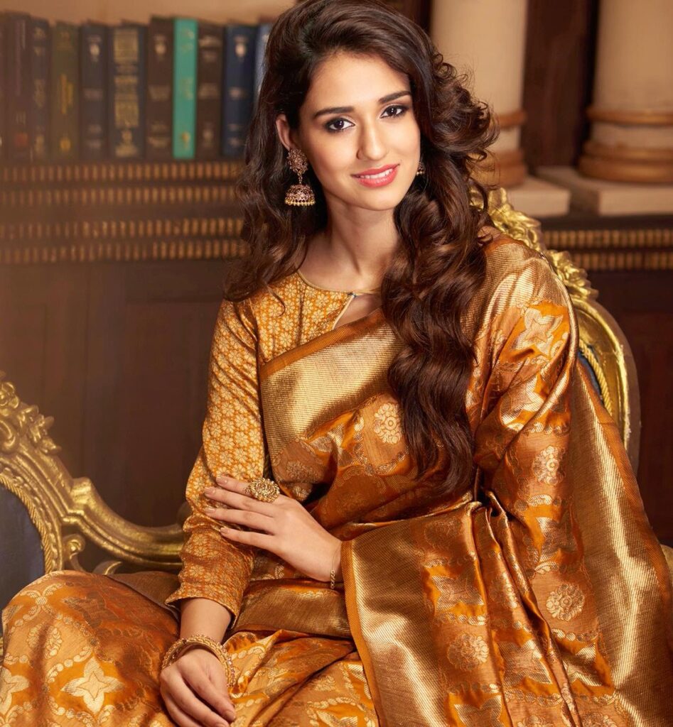 Take Style Notes from Disha Patani’s Sarees - 3