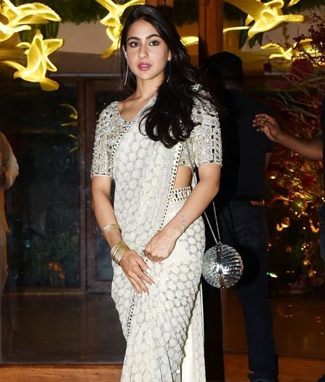 Take Style Notes From Sara Ali Khan’s Sarees - 0