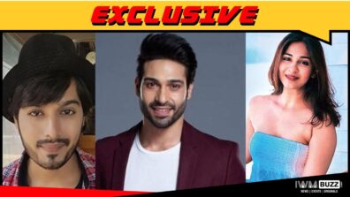 Udaan fame Vijayendra Kumeria and Vidhi Pandya to work together again