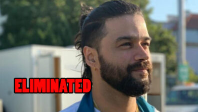 Khatron Ke Khiladi 10 Written Episode Update 8th March 2020: Balraj Syal gets eliminated