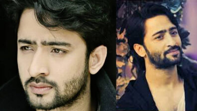 Beard Styles Rocked by Shaheer Sheikh