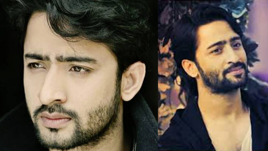 Beard Styles Rocked by Shaheer Sheikh 9