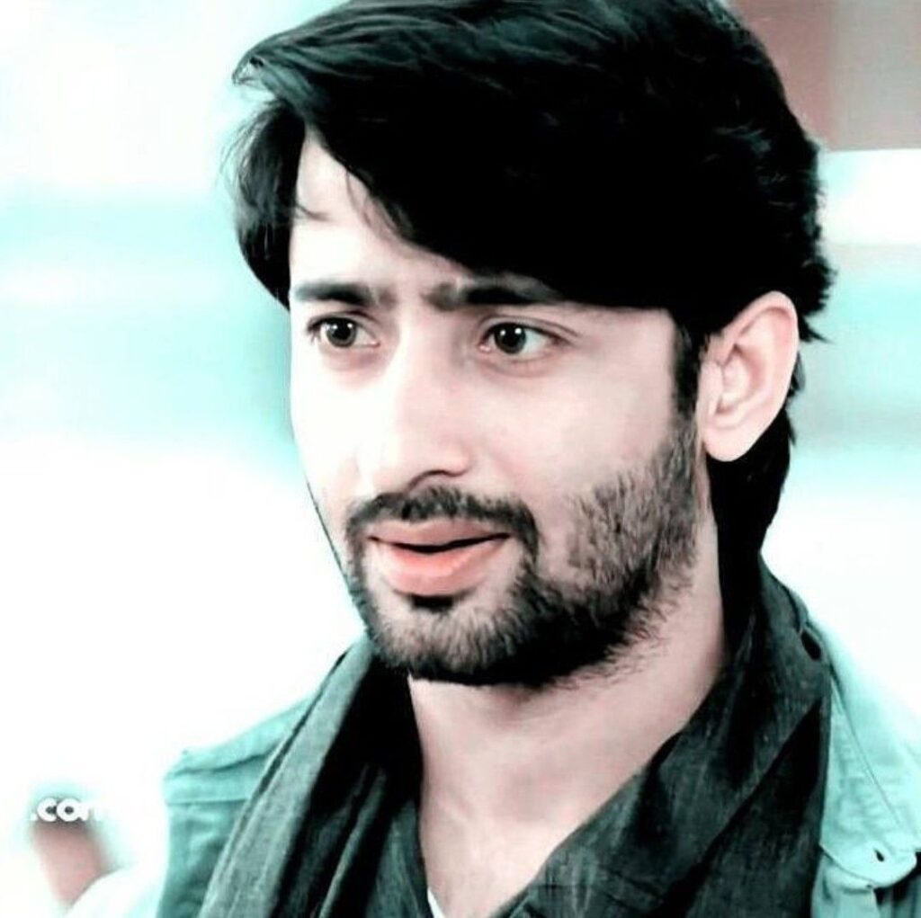 Beard Styles Rocked by Shaheer Sheikh - 1