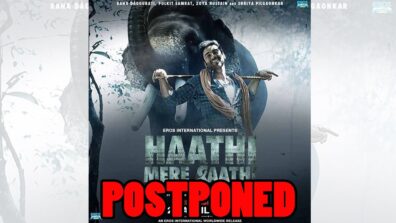 Coronavirus Effect: Haathi Mere Saathi also postponed