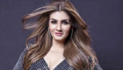Coronavirus Scare: Raveena Tandon asks American channel to do the ‘homework’ right, tutors them about ‘Namaste’