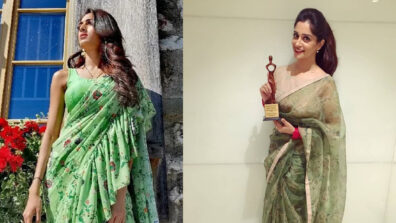 Erica Fernandes Vs Dipika Kakar: Who looked the prettiest in floral saree?