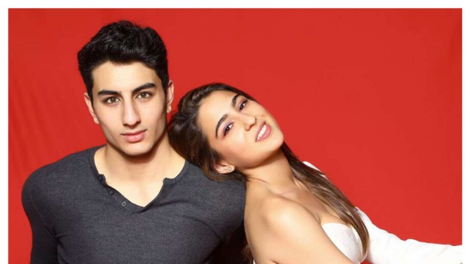 FUN Moments Between Sara Ali Khan And Ibrahim Ali Khan