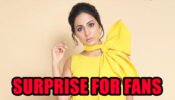 Hina Khan has a BIG SURPRISE for fans