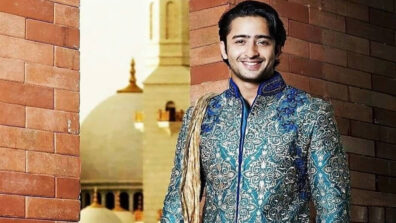 Know What are 5 essentials of a Shaheer Sheikh’s wardrobe