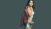 Nobody presents a girl better than Mohit Suri – Disha Patani