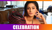 Kasautii Zindagii Kay fame Erica Fernandes’ SPECIAL birthday celebration: Read to find out