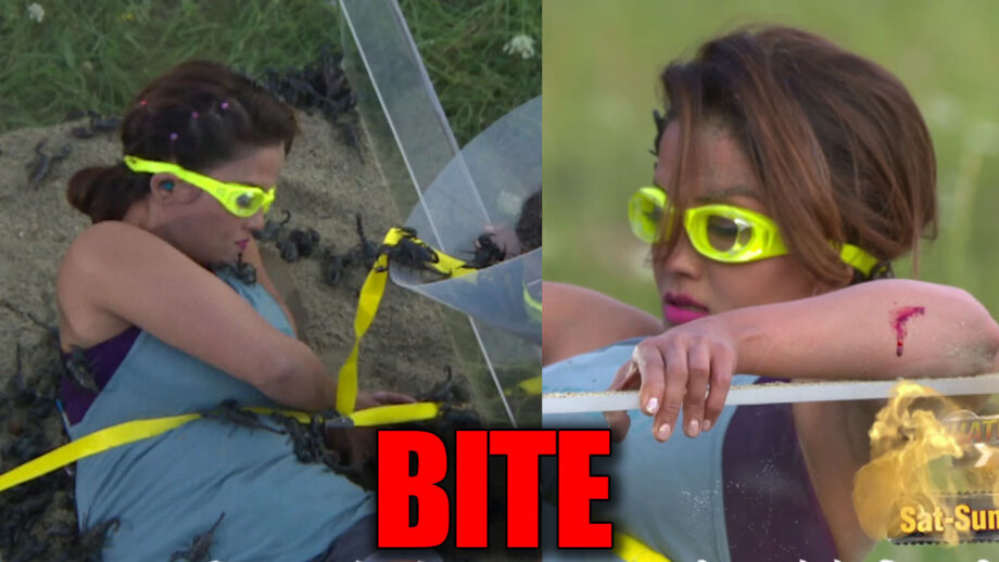 Khatron Ke Khiladi 10: Ouch! A scorpion to bite Adaa Khan during the task