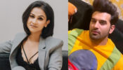 Mujhse Shaadi Karoge: Aanchal Khurana wins Paras Chhabra’s heart