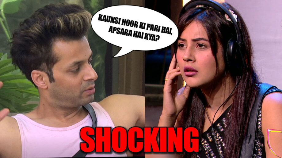 Mujhse Shaadi Karoge: Mayank makes shocking comment on Shehnaaz