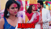 Naagin – Bhagya Ka Zehreela Khel: Brinda gets jealous with Dev and Shalaka’s intimacy