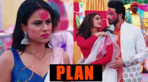 Naagin – Bhagya Ka Zehreela Khel: Brinda plans to keep Dev and Shalakha away
