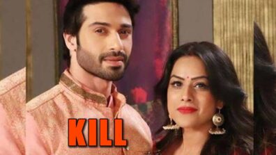 Naagin – Bhagya Ka Zehreela Khel: Brinda plans to KILL Dev