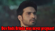 Naagin Season 4 Written Episode Update 21st March 2020: Dev finds out Brinda was never Pregnant